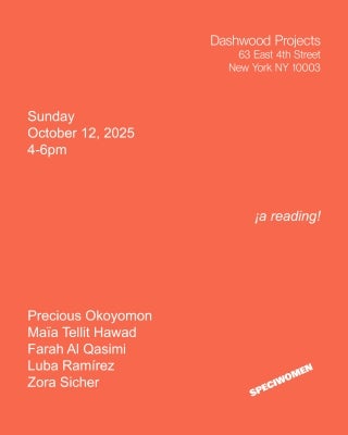 Zora Sicher reading for Geography at Dashwood Projects