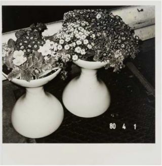 Nobuyoshi Araki: Vintage Prints featured in Office Magazine