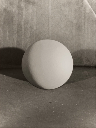 Eggs and Rarities by Paul Kooiker featured in ASX