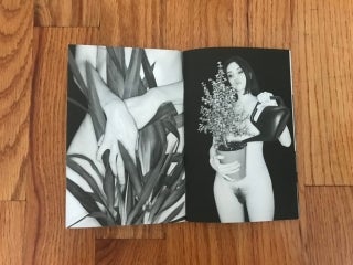 Phytophile by Bela Borsodi featured in Collector Daily