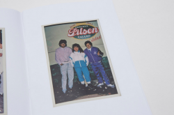 Nicolas Torres, Chicha Dreams in Collector Daily