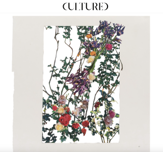 Cultured Magazine: SCUMB Flowers by Justine Kurland at Dashwood Projects.
