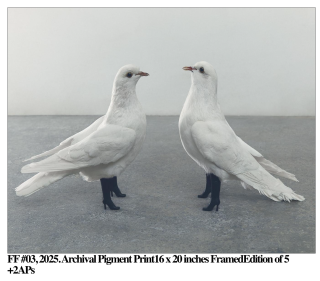 Piss Magazine: "Fortuna y Fetiche" Exhibition at Dashwood Project