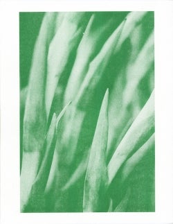 Landscapes by Lele Sevari and The Newsstand Featured in FANTOM