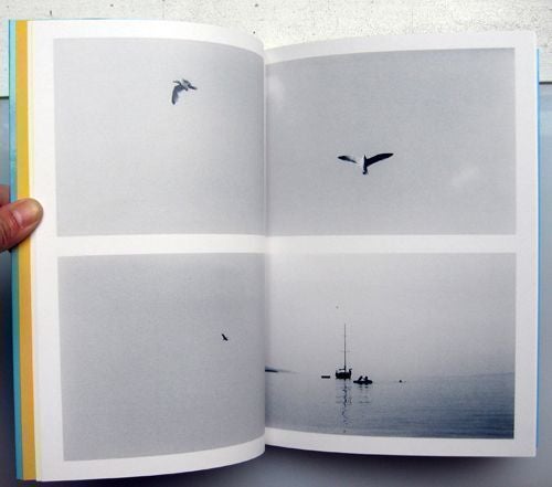 The Little Seagull Book. Hans-Peter Feldmann.