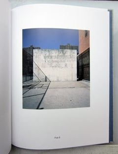 Some New York Handball Courts. Charles Johnstone.