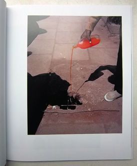 Parasomnia | Viviane Sassen | 2nd printing