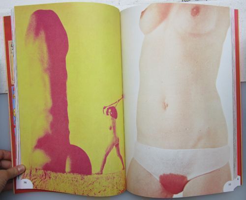 Sex Press : The Sexual Revolution in the Underground Press 1963-1979.