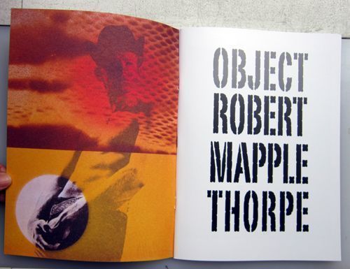 Object. Patti Smith Robert Mapplethorpe, Introduction.