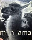 Mijn Lama. Lies Wiegman.