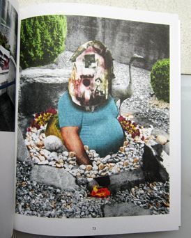 An Vogelhausern Mangelt Es Jedoch Nicht. Luca Schenardi.