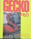 Gecko. Takuma Nakahira, Takashi Homma.
