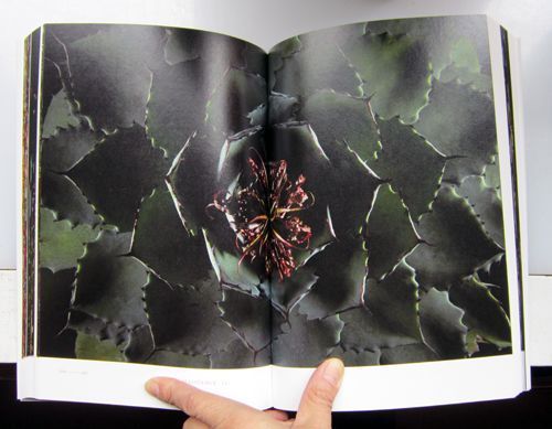 Encyclopedia of Flowers. Shunsuke Shiinoki.