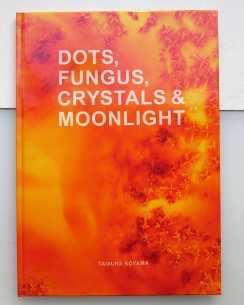 Dots, Fungus, Crystals & Moonlight. Taisuke Koyama.
