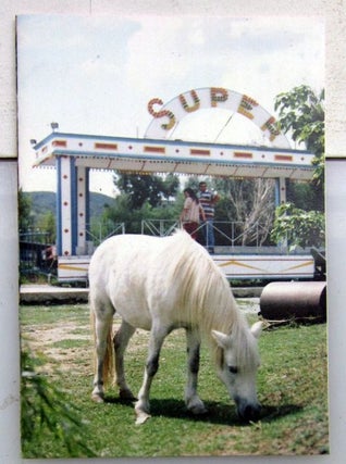 Chinese Super Pony. Anna Hofbauer.