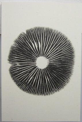 The Mushroom Project. Annie Ratti.