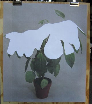 Houseplant Covered with Snow (poster). Ruth Van Beek.