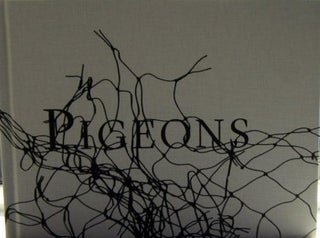 Pigeons. Stephen Gill.