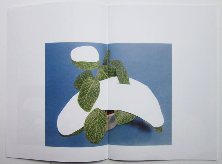 Houseplants Covered With Snow & Houseplants. Ruth Van Beek.