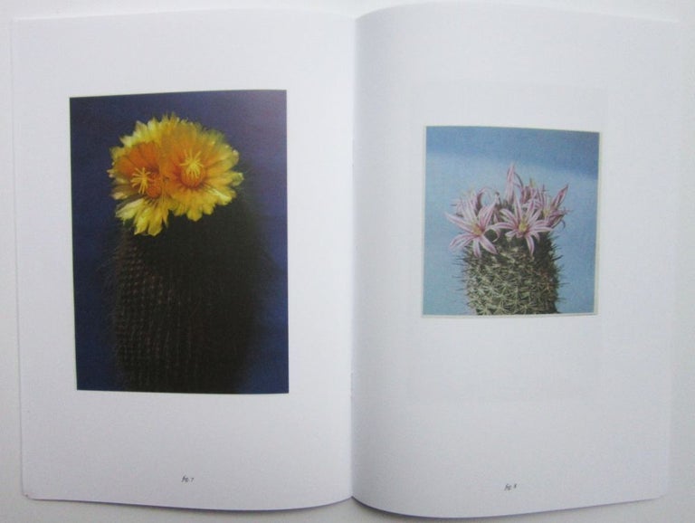 Houseplants Covered With Snow & Houseplants. Ruth Van Beek.