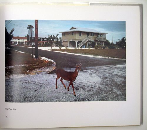 From the Sunshine State : Photographs of Florida | Alex Webb