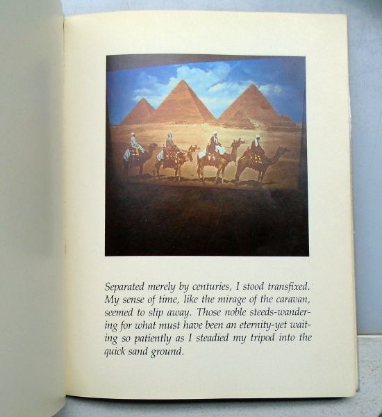 Seeing Egypt. Jim Snitzer.