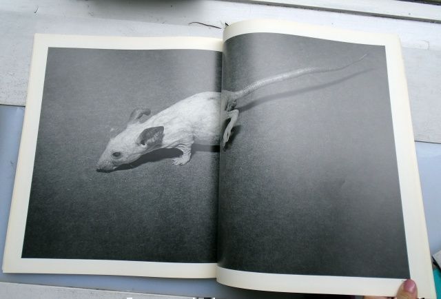 Scenery. Yasushi Hirokawa Osamu Wataya, Kimie Hata, Hiroshi Yoda Kiyoshi Tachikawa, Seiichi Furuya, Kohei Onishi, Ikko Narahara, Nicolas Tucker, Yasuo Matsumoto, Mikio Matsuo, Eiichi Kashimura.