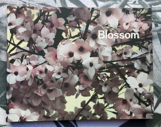 Blossom. Thomas Demand.