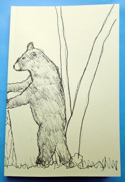 Sketches from a Google Safari. Hugo Guinness.
