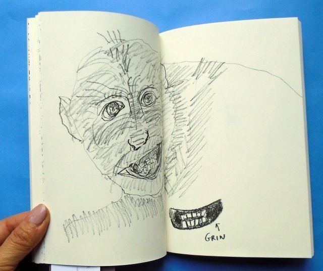 Sketches from a Google Safari. Hugo Guinness.