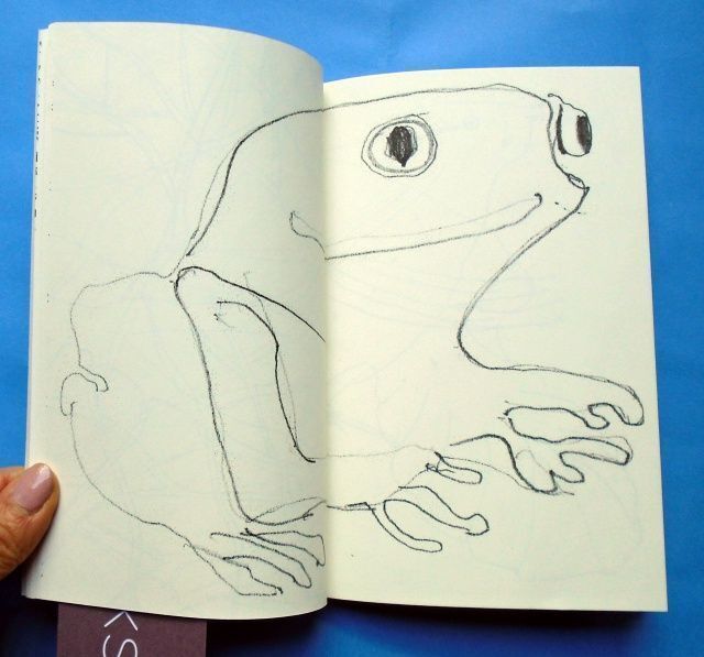 Sketches from a Google Safari. Hugo Guinness.
