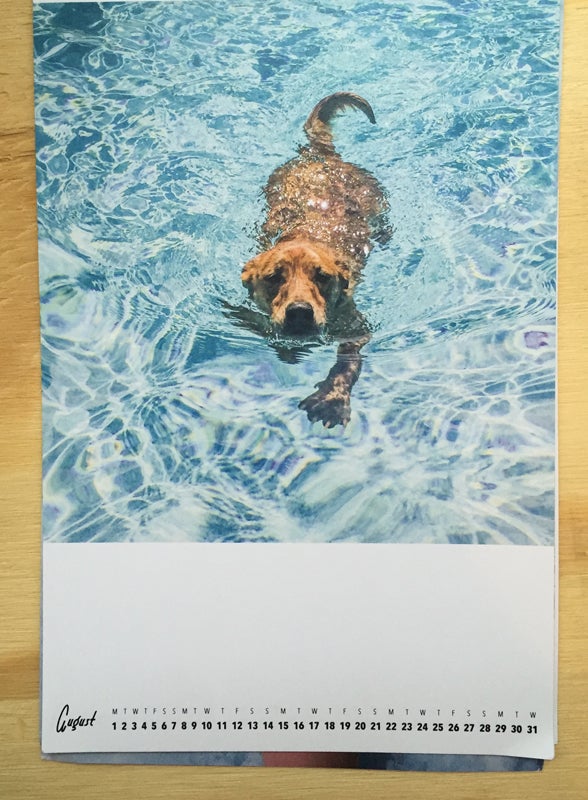 Dick the Dog Calendar 2016. Ryan McGinley.