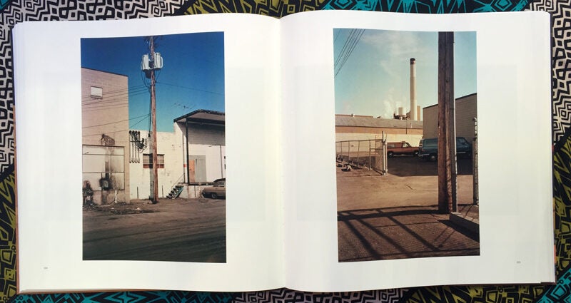 The Democratic Forest | William Eggleston | First Edition
