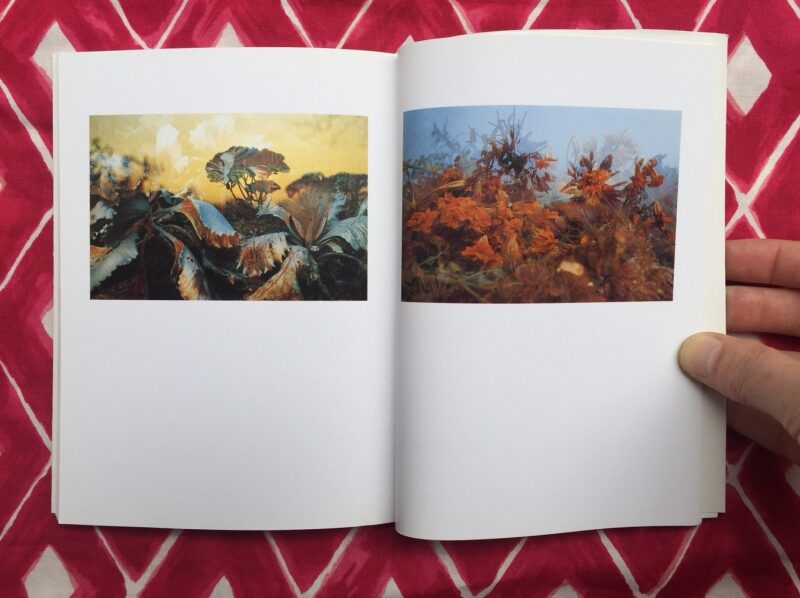 Garten | Peter Fischli, David Weiss | First Edition