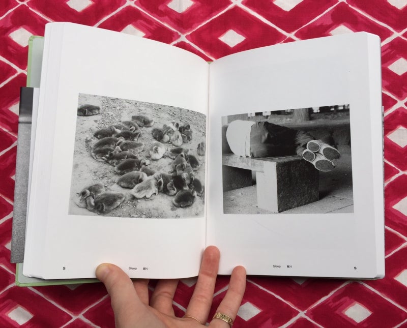 Field Guide | Jochen Lempert | First printing