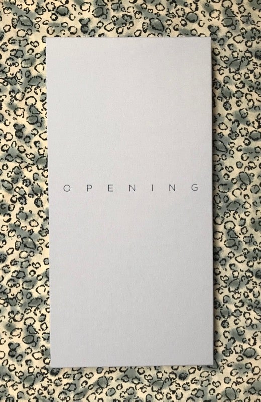 Opening. Jungjin Lee.