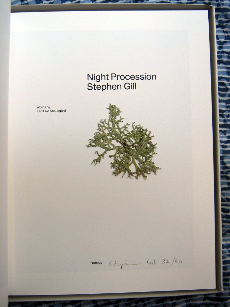 Night Procession (PRINT Edition). Stephen Gill.