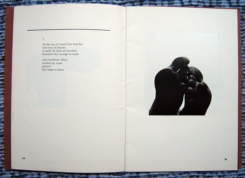 Aaron Siskind Photographs Jon Logan Poems. John Logan Aaron Siskind, poems.