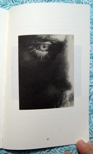 Drawings. Judith Eisler.