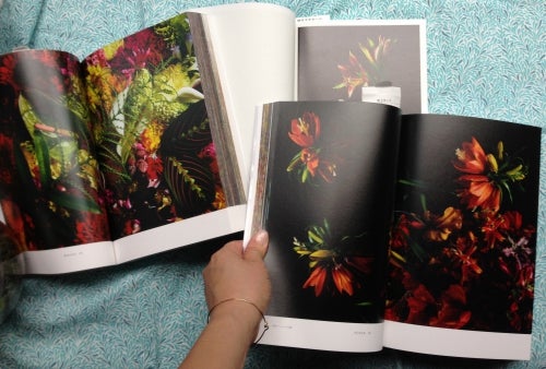 Encyclopedia of Flowers I, II and III. Shunsuke Shiinoki.