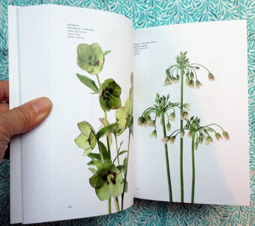 Flower Color Guide. Darroch, Michael Putnam.