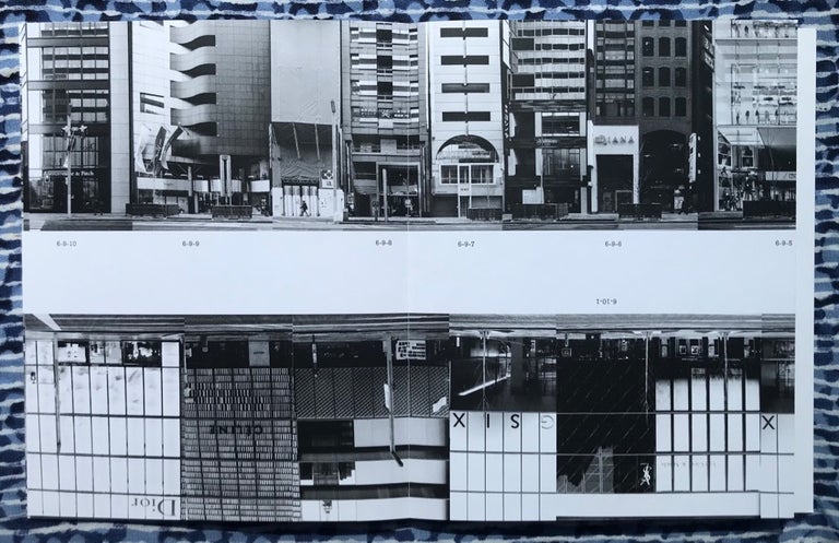 Every Building on the Ginza Strip. Michalis Pichler.