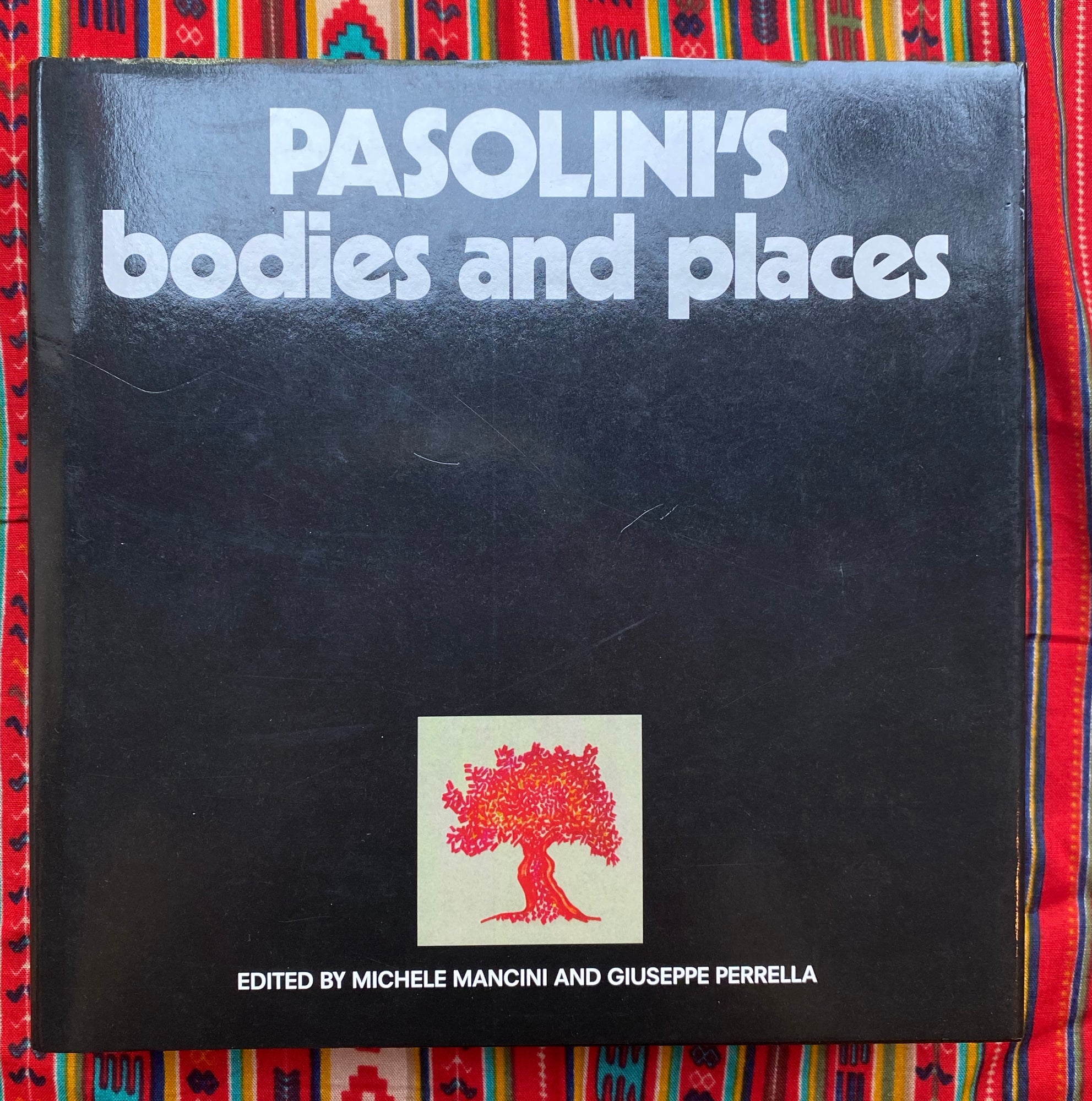 Pasolini s Bodies and Places Pier Paolo Pasolini First Edition