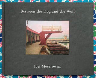 Between the Dog and the Wolf. Joel Meyerowitz.