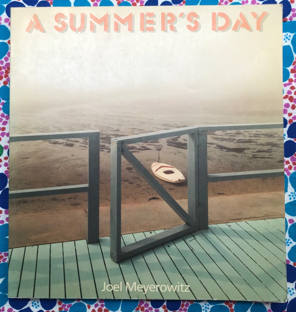 A Summer's Day | Joel Meyerowitz
