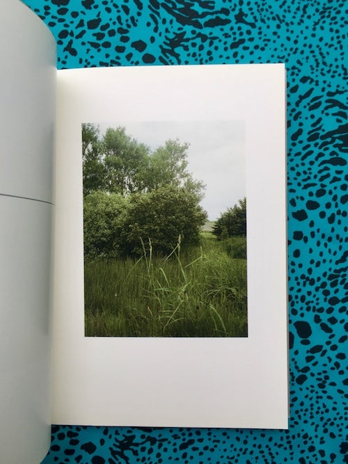 Un paysage ou Neuf vues du jardin de Ian Hamilton Finlay. Marie-Claude Beaud Daniel Boudinet, Text.