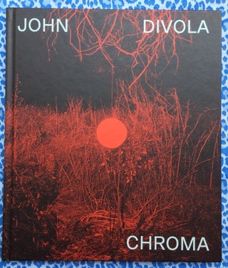 Chroma. John Divola.