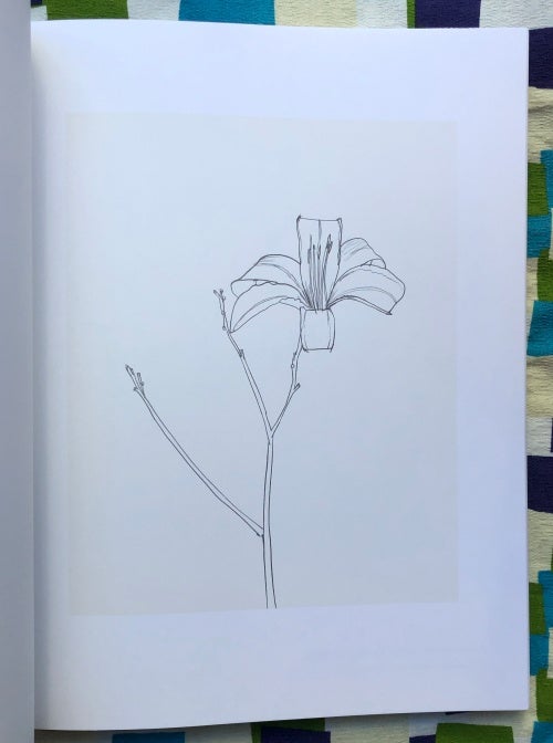 Plant Drawings 1948-2010. Marla Prather Ellsworth Kelly, Michael Semff, Texts.