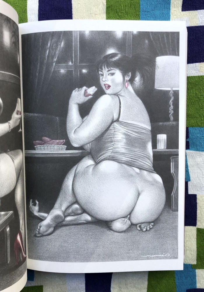 The Incredible Femdom Art of Namio Harukawa, Memorial Expanded Edition. Agnes Giard Namio Harukawa, Text.