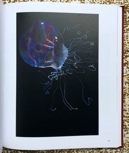 Works on Paper. Alexis Rockman.